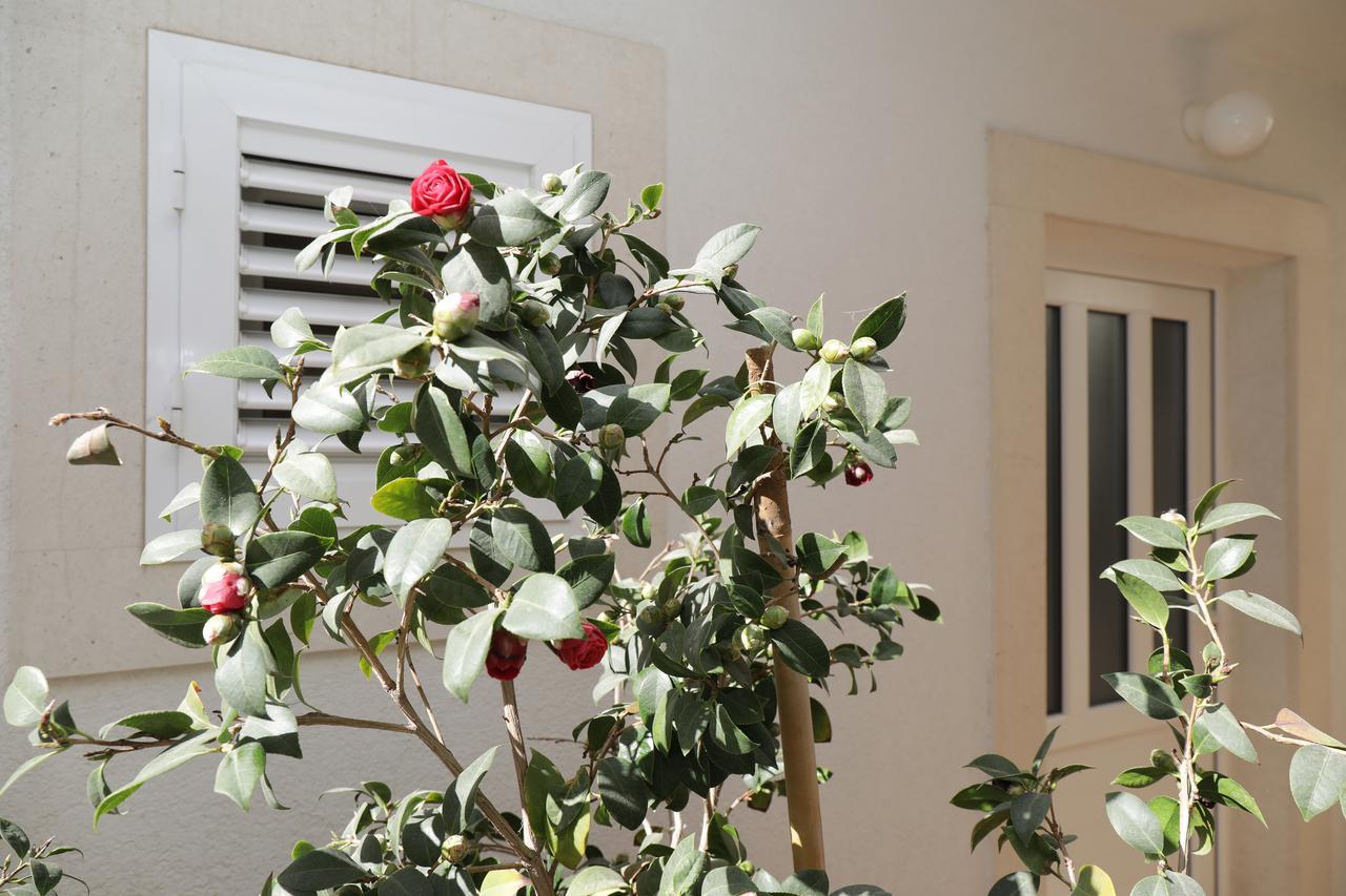 Apartment 330 Ντουμπρόβνικ Εξωτερικό φωτογραφία
